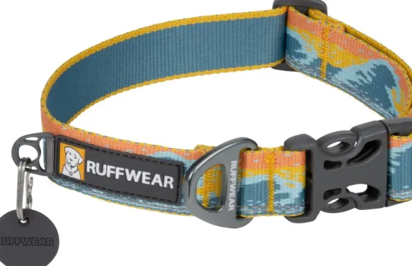 RuffWear Crag Collar koiran kaulapanta, Rising Wave