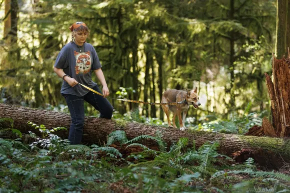 RuffWear Crag Collar koiran kaulapanta, Rising Wave