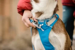 Ruffwear Flagline Harness valjaat, harmaa