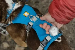 Ruffwear Flagline Harness valjaat, harmaa