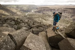 Ruffwear Flagline Harness valjaat, harmaa