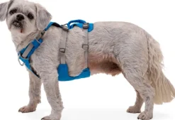Ruffwear Flagline Harness valjaat, harmaa