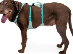 Ruffwear Flagline Harness valjaat, harmaa