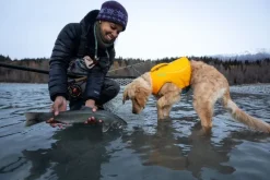 Ruffwear Float Coat koiran pelastusliivit, oranssi