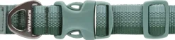 Ruffwear Front Range Collar kaulapanta, harmaavihreä