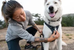 Ruffwear Front Range Harness valjaat, tummanharmaa