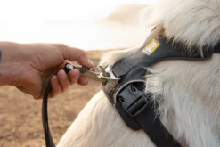 RuffWear Front Range Harness Blaze Orange XXS-S