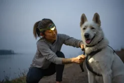 RuffWear Front Range Harness Blaze Orange XXS-S