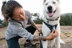 Ruffwear Front Range Harness valjaat, punainen