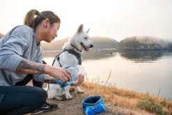 Ruffwear Front Range Harness valjaat, punainen