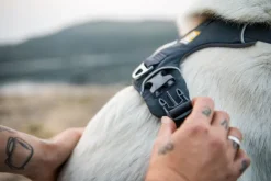 Ruffwear Front Range Harness valjaat, harmaavihreä