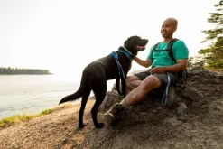 Ruffwear Front Range Leash talutushihna, Spring Fade