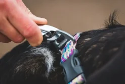 RuffWear Front Range Leash koiran talutushihna, Reef Fish