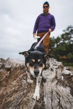 RuffWear Front Range Leash koiran talutushihna, Reef Fish