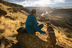 Ruffwear Hi & Light Collar kaulapanta, harmaa