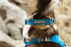 Ruffwear Hi & Light Collar kaulapanta, pinkki