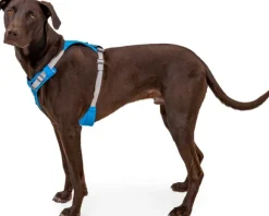 Ruffwear Hi & Light Harness valjaat, pinkki