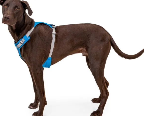 Ruffwear Hi & Light Harness valjaat, pinkki