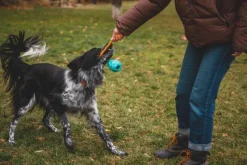 RuffWear Huck-a-Cone Toy Purple Orchid