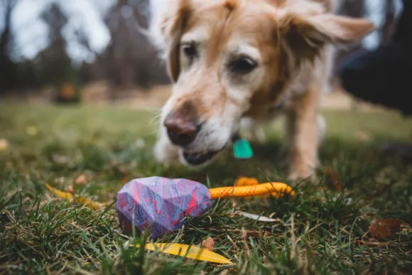 RuffWear Huck-a-Cone Toy Purple Orchid