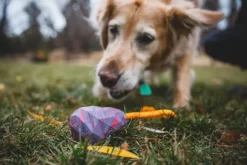 RuffWear Huck-a-Cone Toy Salamander Orange