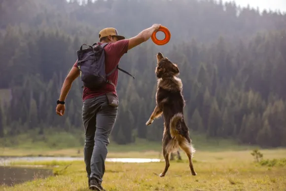 RuffWear Hydro Plane Toy Purple Orchid