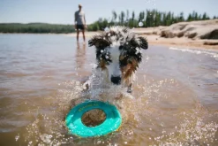 RuffWear Hydro Plane Toy Tangelo Orange