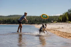 RuffWear Hydro Plane Toy Tangelo Orange