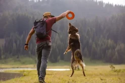 RuffWear Hydro Plane Toy Tangelo Orange