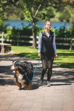 RuffWear Just-a-Cinch Leash koiran talutushihna, Blue Pool