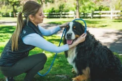 RuffWear Just-a-Cinch Leash koiran talutushihna, Obsidian Black