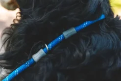 RuffWear Just-a-Cinch Leash koiran talutushihna, Obsidian Black