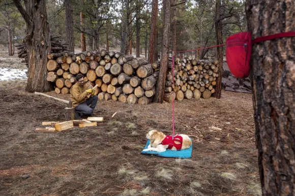 RuffWear Knot-a-Hitch juoksunaru retkelle, punainen