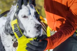 RuffWear Omnijore Joring System juoksupaketti, Lichen Green