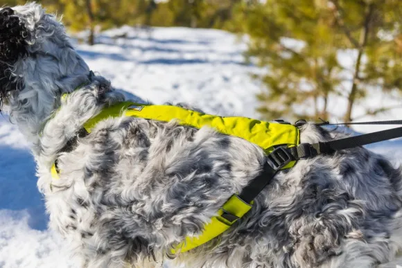 RuffWear Omnijore Joring System juoksupaketti, Lichen Green