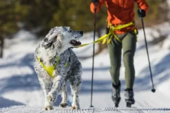RuffWear Omnijore Joring System juoksupaketti, Lichen Green