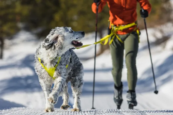 RuffWear Omnijore Joring System juoksupaketti, Lichen Green