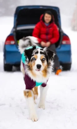 RuffWear Powder Hound Jacket koiran talvitakki, Aurora Teal