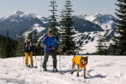 RuffWear Quinzee Jacket koiran takki, oranssi