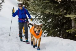 RuffWear Quinzee Jacket koiran takki, oranssi