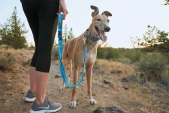 Ruffwear Roamer Leash Granite Gray
