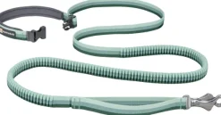 Ruffwear Roamer Leash joustava talutushihna, River Rock Green