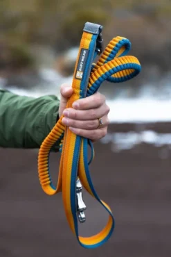 Ruffwear Roamer Leash joustava talutushihna, River Rock Green