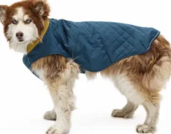 RuffWear Stumptown Jacket koiran takki, Orion Blue