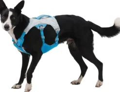 RuffWear Swamp Cooler Harness Graphite Gray