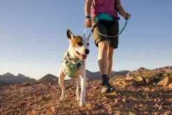 RuffWear Swamp Cooler Harness viilentävät valjaat, pastellinvihreä