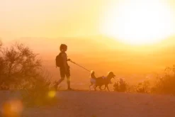 RuffWear Swamp Cooler Harness viilentävät valjaat, pastellinvihreä