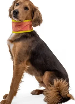 RuffWear Swamp Cooler Neck Gaiter koirien viilennyskauluri