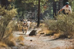 RuffWear Swamp Cooler Zip Graphite Gray