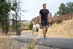 Ruffwear Switchbak Leash talutushihna, harmaa